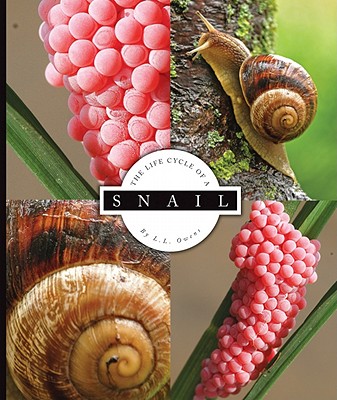 Snail - Owens, L L