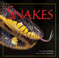 Snakes