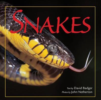 Snakes - Badger, David, and Netherton, John (Photographer)