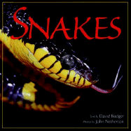 Snakes
