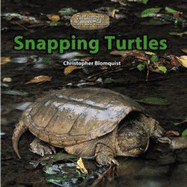 Snapping Turtles