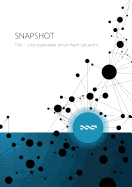 Snapshot - Nxt Unsurpassable Blockchain Solutions