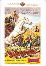Snowfire