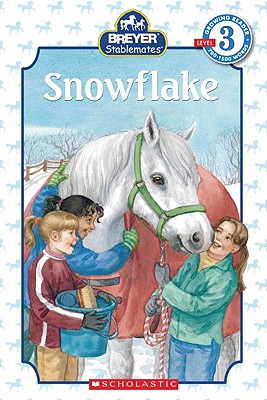 Snowflake - Weyn, Suzanne