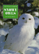 Snowy Owls