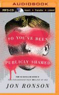 So You've Been Publicly Shamed