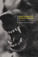 Social Censure and Critical Criminology: After Sumner