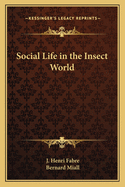 Social Life in the Insect World