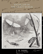 Social Life in the Insect World