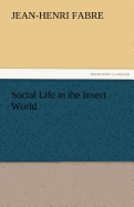 Social Life in the Insect World