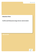 Softwarebilanzierung Beim Anwender - Klein, Sebastian