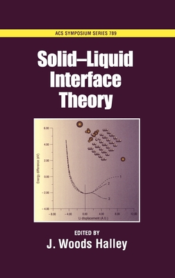Solid-Liquid Interface Theory - Halley, J Woods (Editor)