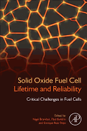 Solid Oxide Fuel Cell Lifetime and Reliability: Critical Challenges in Fuel Cells