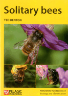 Solitary Bees