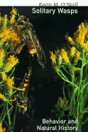 Solitary Wasps