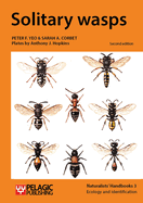 Solitary Wasps