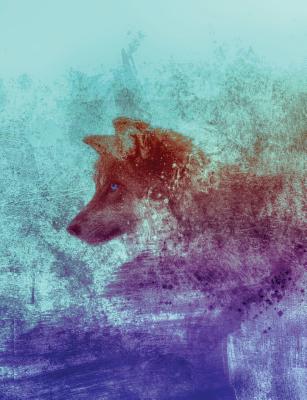 Solo Wolf Mountain Composition Notebook, Wide Ruled: Lined Student Exercise Book - Willow, Enchanted