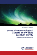 Some Phenomenological Aspects of Low Scale Quantum Gravity