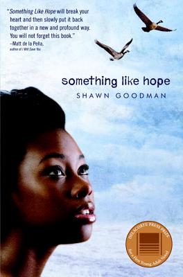 Something Like Hope - Goodman, Shawn