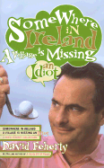 Somewhere in Ireland, a Village Is Missing an Idiot