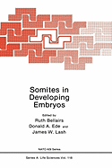 Somites in Developing Embryos