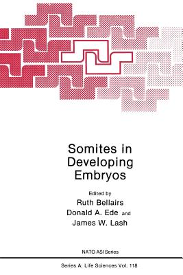 Somites in Developing Embryos - Bellairs, Ruth