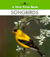 Songbirds