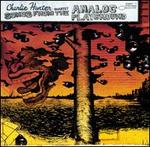 Songs from the Analog Playground