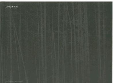 Sophy Rickett - Rickett, Sophy (Photographer), and Cotton, Charlotte (Contributions by), and Durden, Mark (Text by)
