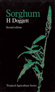 Sorghum