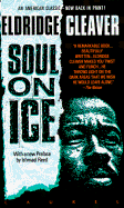 Soul on Ice