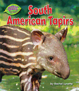 South American Tapirs