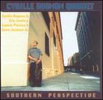 Southern Perspective