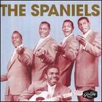 Spaniels