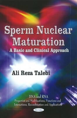 Sperm Nuclear Maturation: A Basic & Clinical Approach - Talebi, Ali Reza