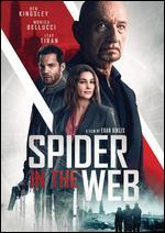 Spider in the Web