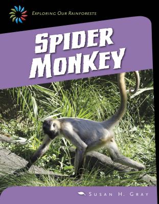 Spider Monkey - Gray, Susan H