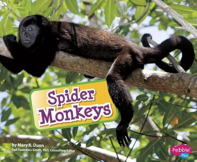 Spider Monkeys - Saunders-Smith, Gail (Consultant editor), and Dunn, Mary R