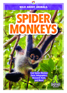 Spider Monkeys