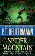 Spider Mountain