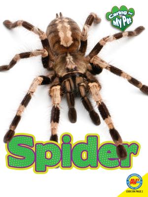 Spider - Lomberg, Michelle