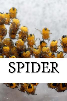 Spider - Spider