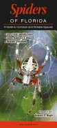 Spiders of Florida