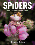 Spiders: The Ultimate Predators