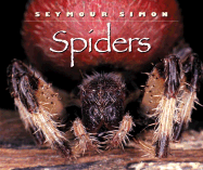 Spiders