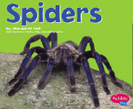 Spiders
