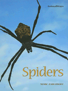 Spiders