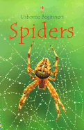 Spiders