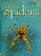 Spiders