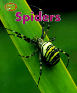 Spiders